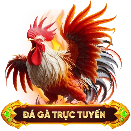 đá gà trực tuyến MMOO
